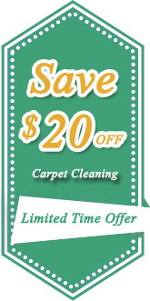 Our Special Offers