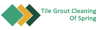 Tile Grout Cleaning Spring